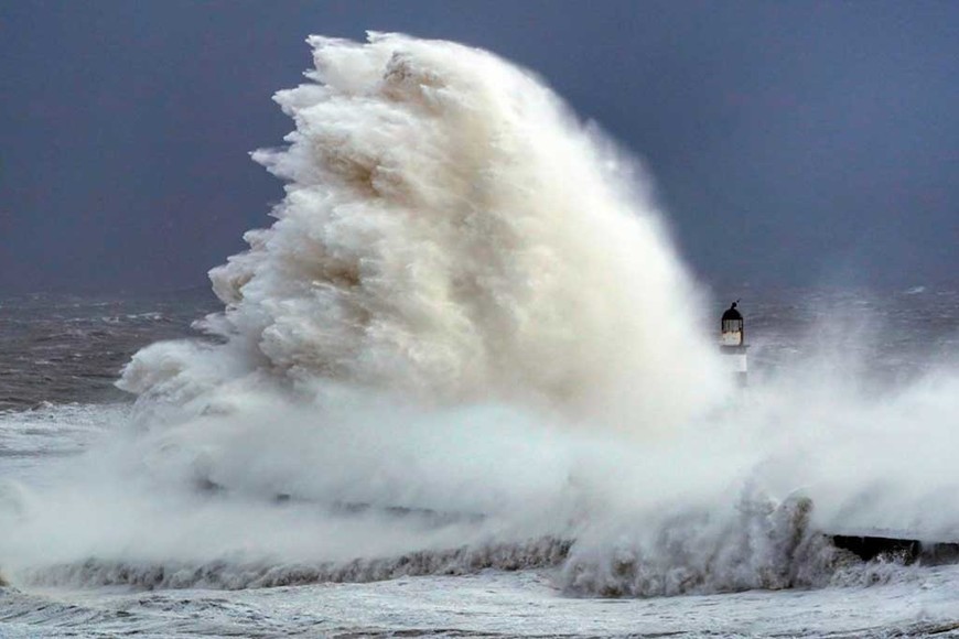 ELLITORAL_420905 |  Gentileza