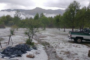 ELLITORAL_415763 |  Gentileza