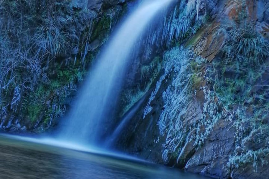 ELLITORAL_386731 |  Gentileza