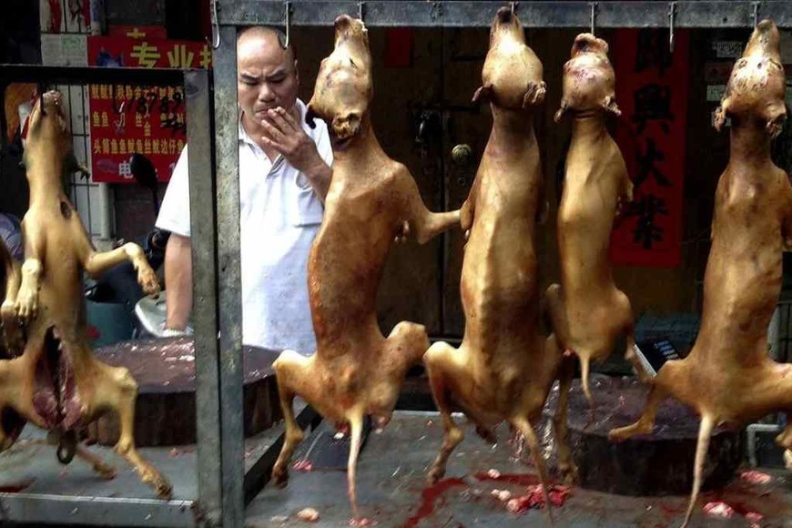 ELLITORAL_309608 |  Gentileza