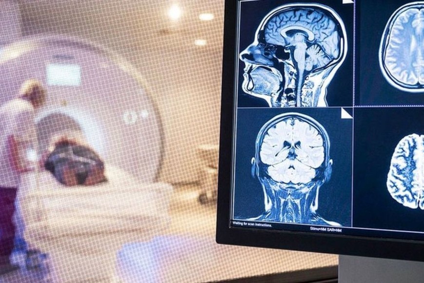 ELLITORAL_389431 |  Gentileza