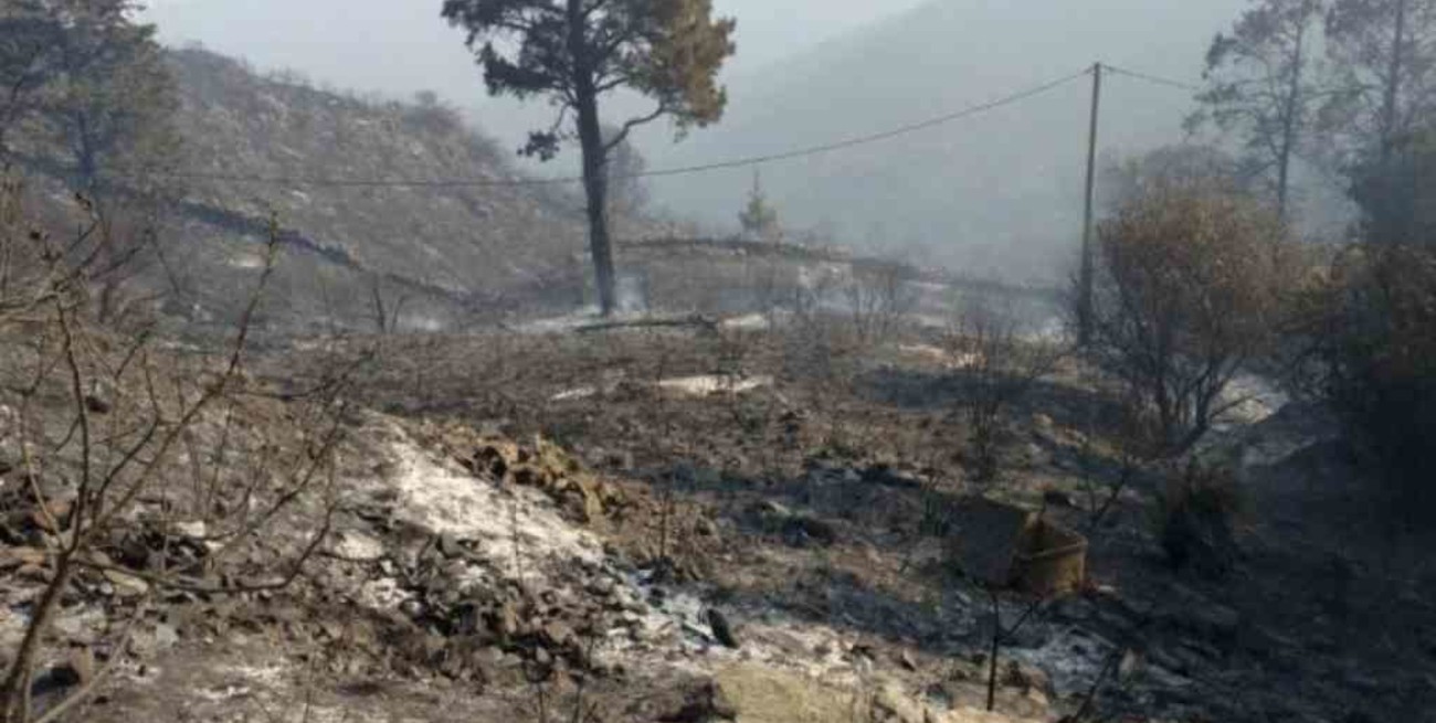 Hay un solo incendio forestal activo en el país, en Sierra de los Padres