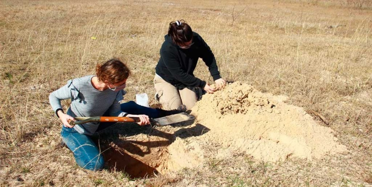 Hallaron restos arqueológicos en el margen Este de la Laguna Setúbal