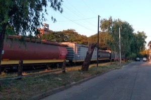 ELLITORAL_339558 |  Gentileza