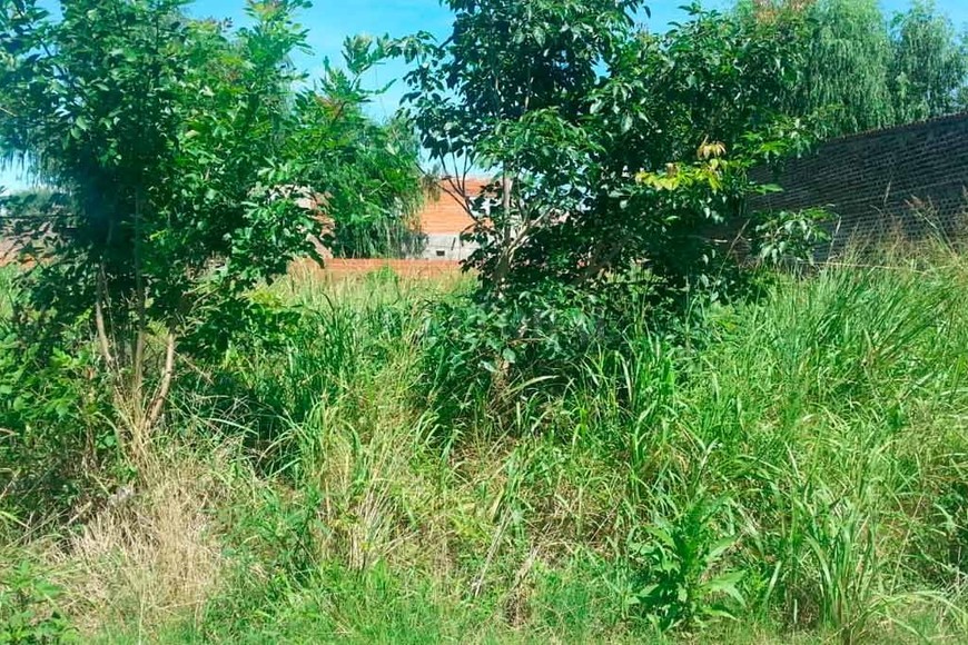 ELLITORAL_234997 | Periodismo Ciudadano / WhatsApp