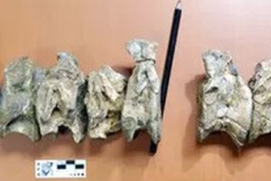 ELLITORAL_373606 |  Captura de pantalla