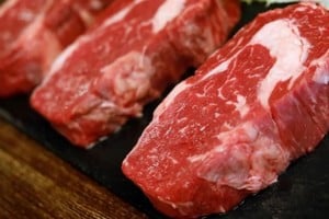 ELLITORAL_279526 |  Internet