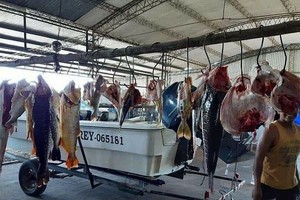 ELLITORAL_283157 |  Captura de pantalla