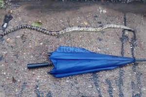 ELLITORAL_131042 |  Periodismo ciudadano. Marcelo Toledo