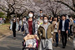 ELLITORAL_337499 |  Gentileza