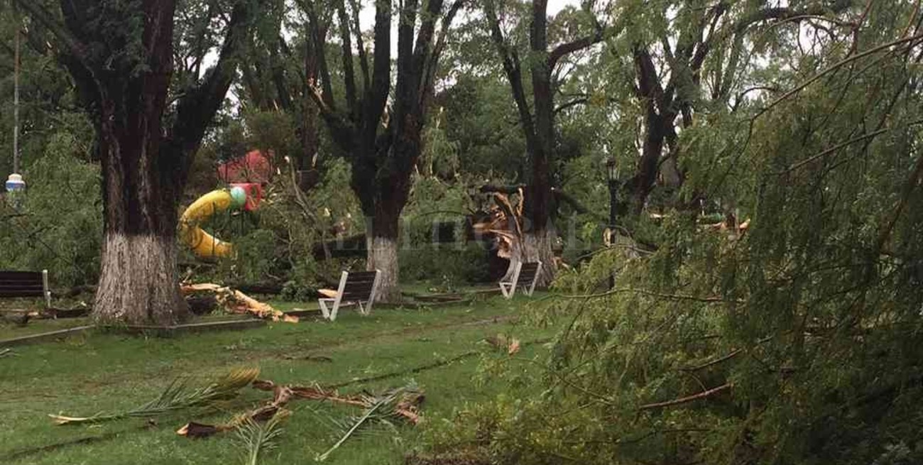 La tormenta voló techos, derrumbó una casa y derribó árboles en La Gallareta