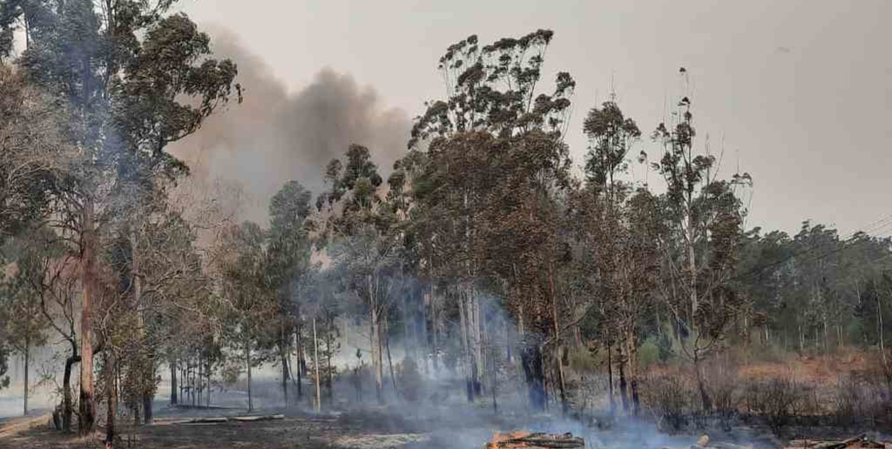 Corrientes: grandes incendios afectaron a ocho localidades de la provincia