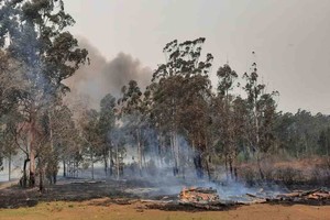 ELLITORAL_328992 |  Twitter