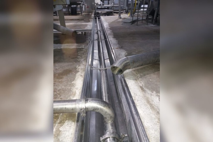 ELLITORAL_377249 |  Gentileza. Canal de lavadora interna-externa (sector eviscerado)