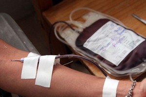 ELLITORAL_380836 |  Gentileza