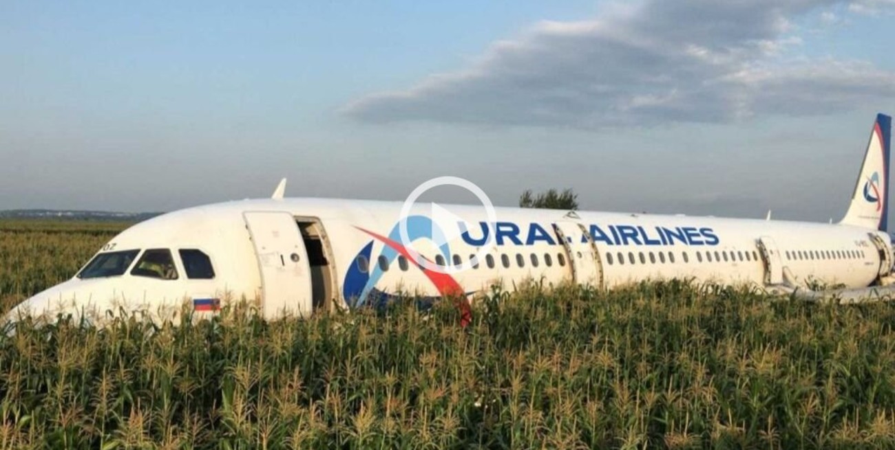 Un avión de línea ruso con 233 pasajeros debió aterrizar de emergencia en un maizal 