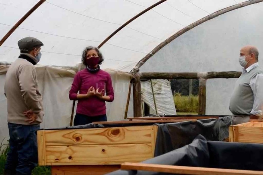 ELLITORAL_318699 |  Gentileza Inta Monte Vera Producción.  Se buscará que las primeras producciones vegetales estén para octubre y esperemos que algunos ejemplares de peces se puedan utilizar hacia fines de año o principios del año que viene , comentó Pablo Collins, responsable técnico del proyecto.