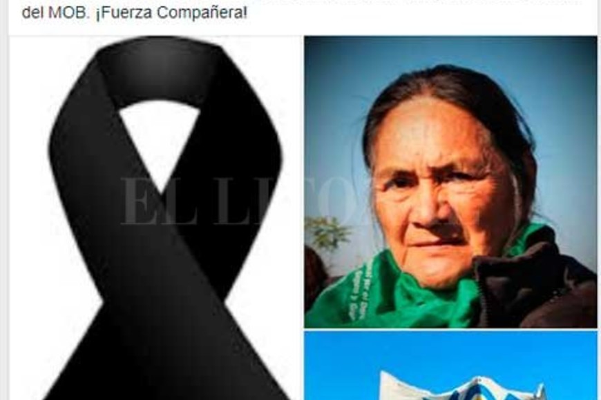 ELLITORAL_229859 |  Facebook