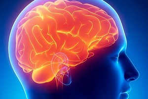 ELLITORAL_418766 |  Gentileza