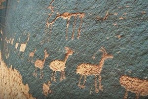 ELLITORAL_386158 |  Captura de pantalla