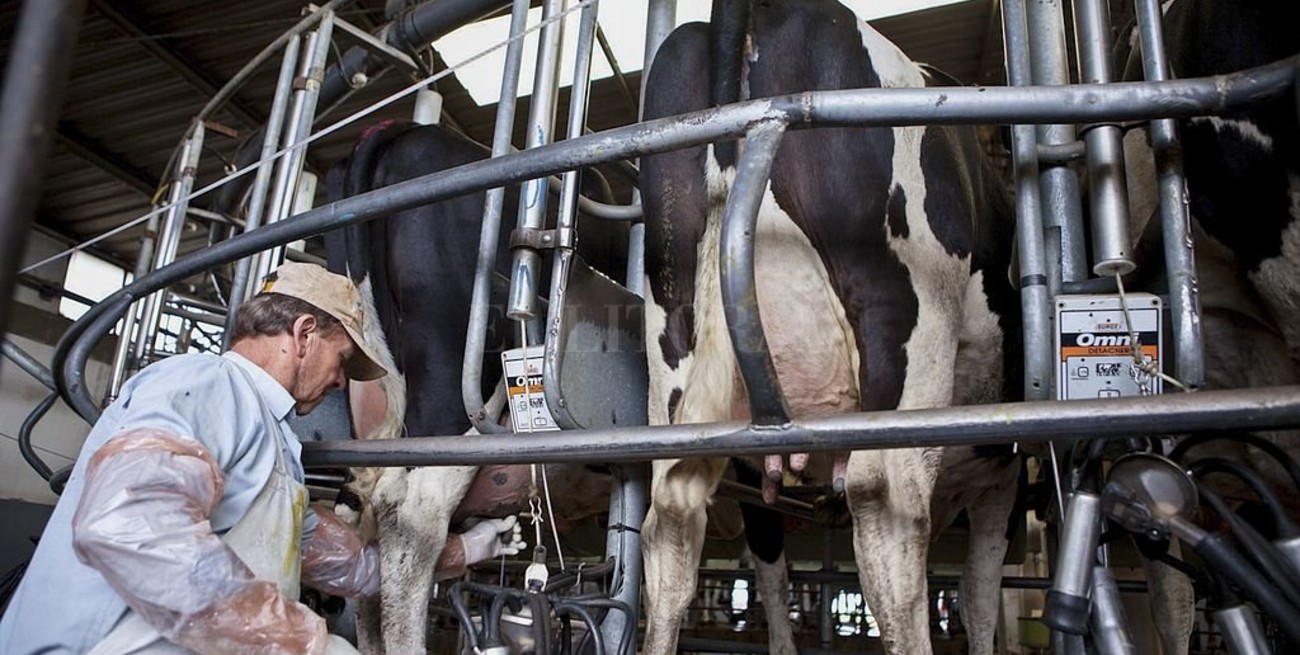 La industria láctea advierte sobre una disparada en los precios