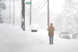 ELLITORAL_401426 |  Gentileza