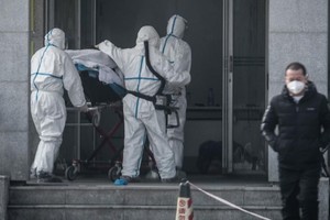 ELLITORAL_281882 |  Gentileza