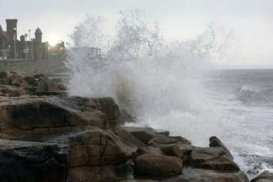 ELLITORAL_390956 |  Gentileza