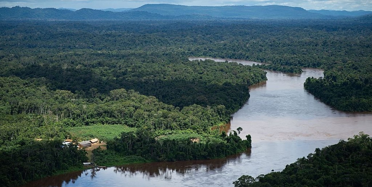 Por primera vez, el Amazonas genera más dióxido de carbono del que absorbe