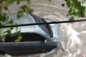 ELLITORAL_350066 |  Gentileza