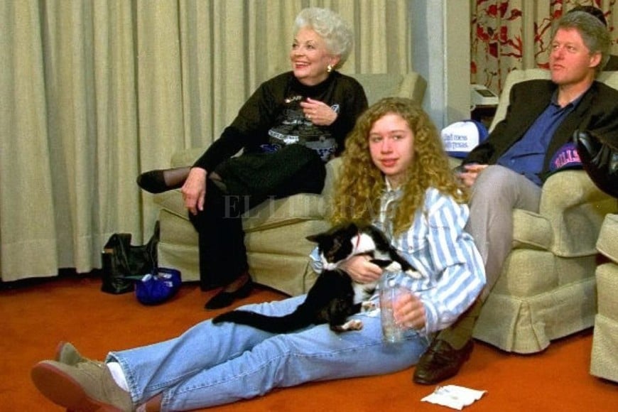 ELLITORAL_238699 |  Archivo Socks fue el gato presidencial de la familia Clinton y el primero en habitar la Casa Blanca