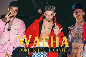 ELLITORAL_387990 |  Captura de Internet Los jóvenes de hasta 25 años representan al 51 % de la población total argentina. Su estética es importada, pero no tiene nada que envidiarle a la  sociedad escandalizada  por los niveles de violencia adolescente.