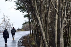 ELLITORAL_416735 |  Victoria Alliot CAZADOR DE IMÁGENES -  Camino al Glaciar Perito Moreno