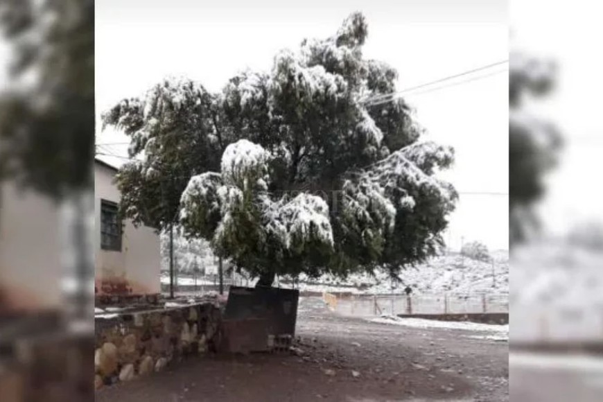 ELLITORAL_351481 |  Gentileza