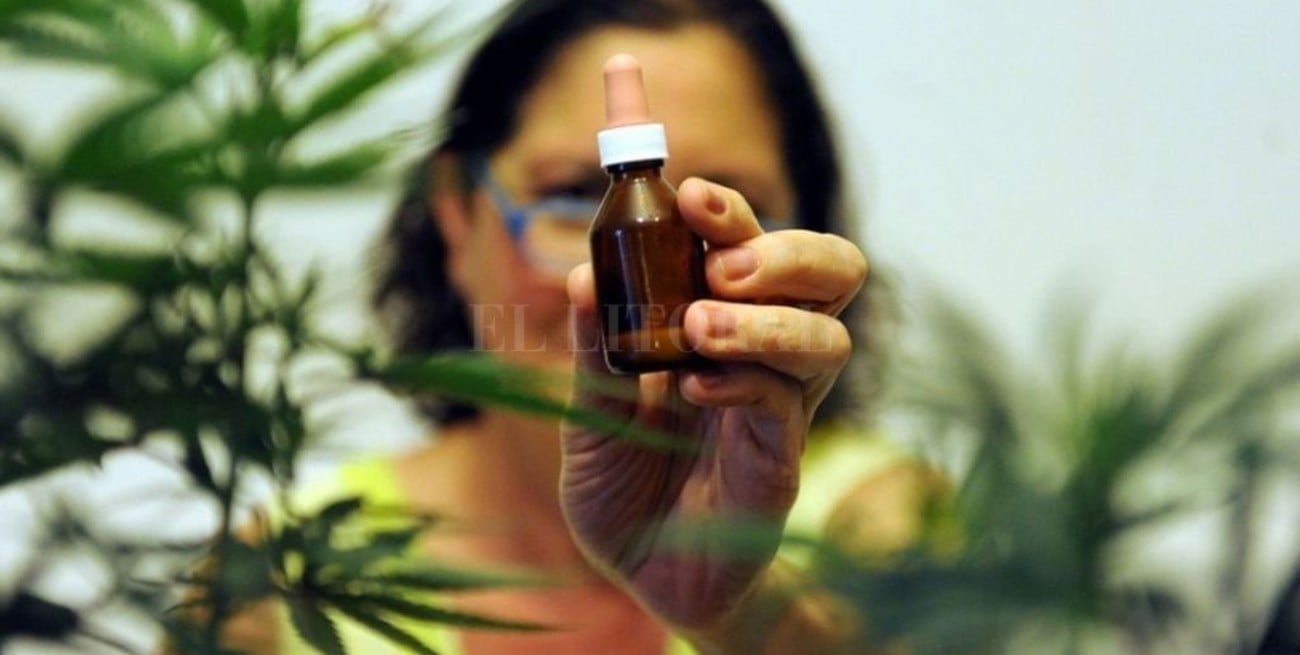 El primer aceite de cannabis medicinal aprobado por la Anmat ya se consigue en farmacias de Rosario
