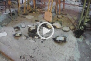 ELLITORAL_131951 |  Foto Twitter Diego Robledo -periodista Tele Ocho-.