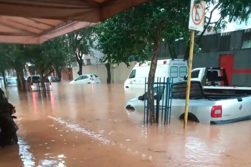 ELLITORAL_350218 |  Gentileza