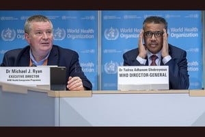 ELLITORAL_289372 |  EFE