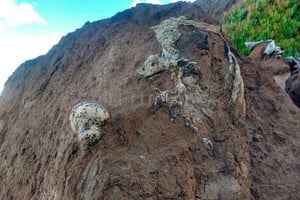 ELLITORAL_207138 |  Museo Municipal de Ciencias Naturales ?Lorenzo Scaglia?