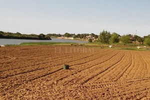 ELLITORAL_339182 |  El Litoral