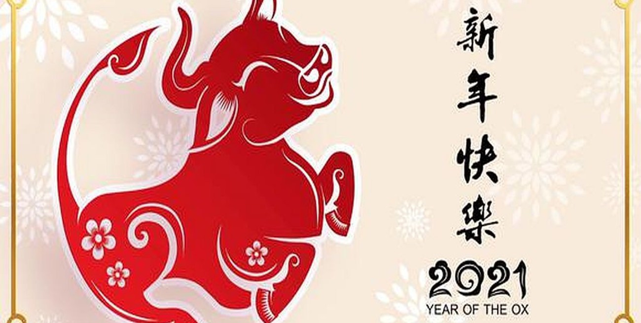 Año Nuevo Chino: comienza el año del buey o búfalo "de plata"