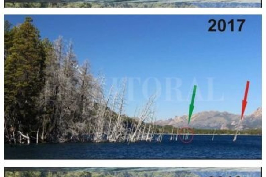 ELLITORAL_262125 |  Captura de pantalla