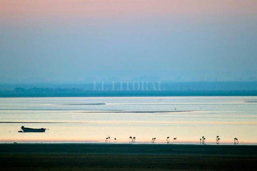 ELLITORAL_319640 |  Gentileza