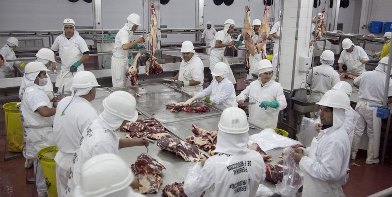 La exportación de carne creció un 70% y se sustenta en la faena de vacas