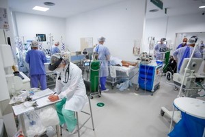 ELLITORAL_398669 |  Gentileza