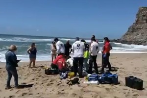 ELLITORAL_381205 |  Captura de pantalla