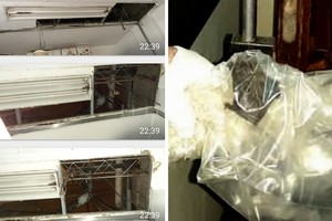 Facebook Mamás Sustitutas Los daños en el cielo raso y el murciélago capturado dentro del hospital.