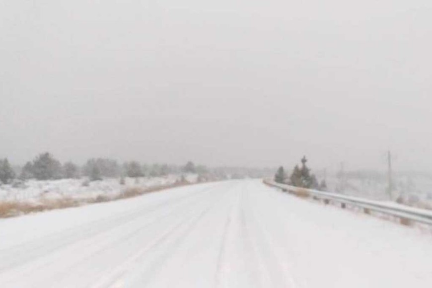 ELLITORAL_310131 |  Gentileza