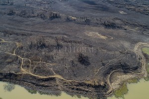 ELLITORAL_390470 |  Archivo El Litoral