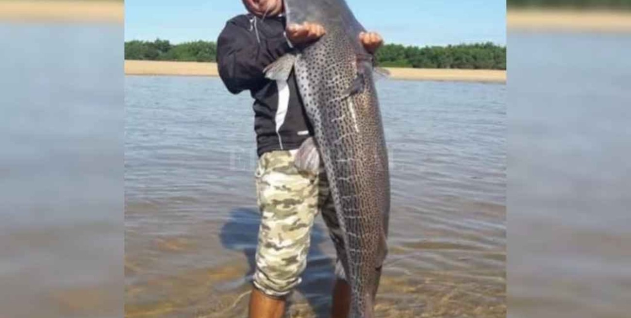 Capturaron un surubí de 40 kilos en Corrientes